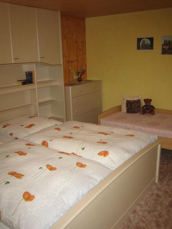 Apartment Schlafwandler Steinigtwolmsdorf Phòng bức ảnh